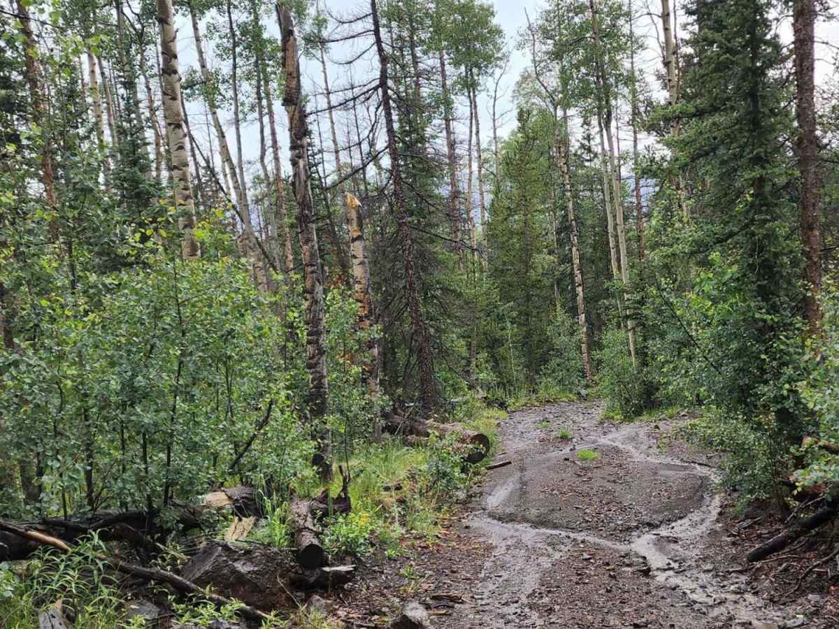 Lake Mountain photo 2