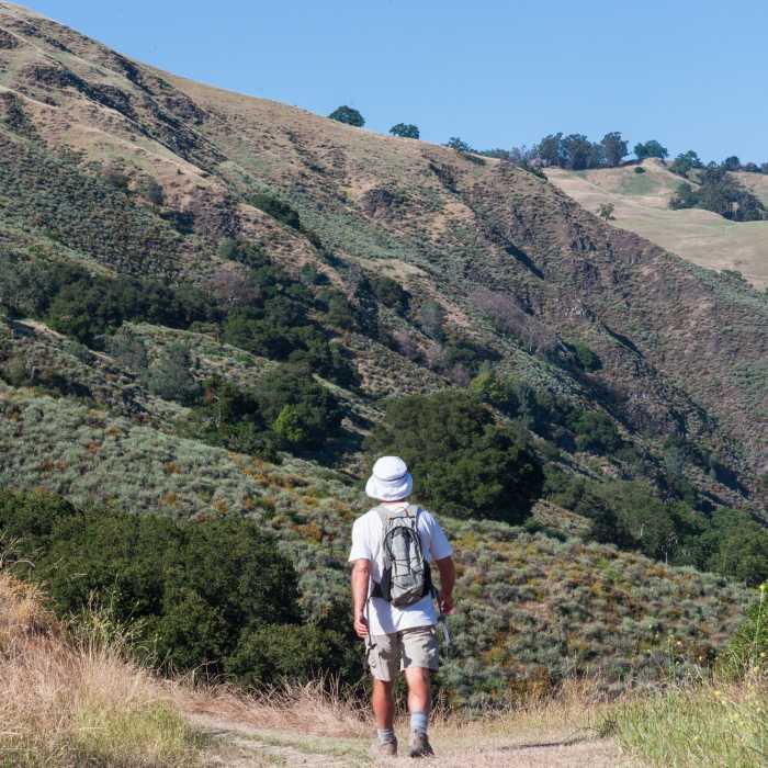 Near Sierra Vista Preserve Loop