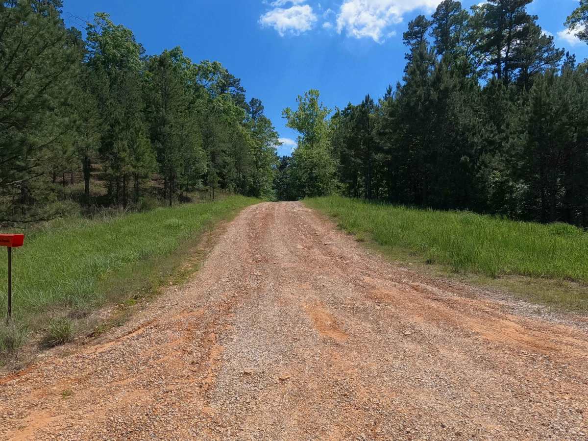 Malady Hollow - FS 3776 photo 3