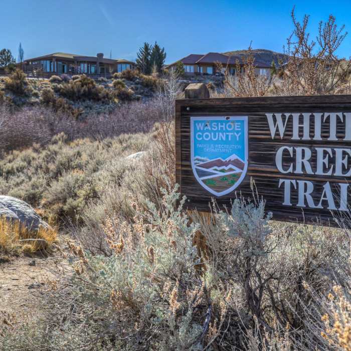 Near Lower Whites Creek Trail