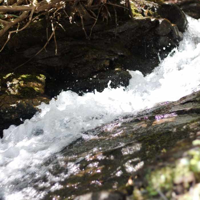 Near Cascades Trail #70