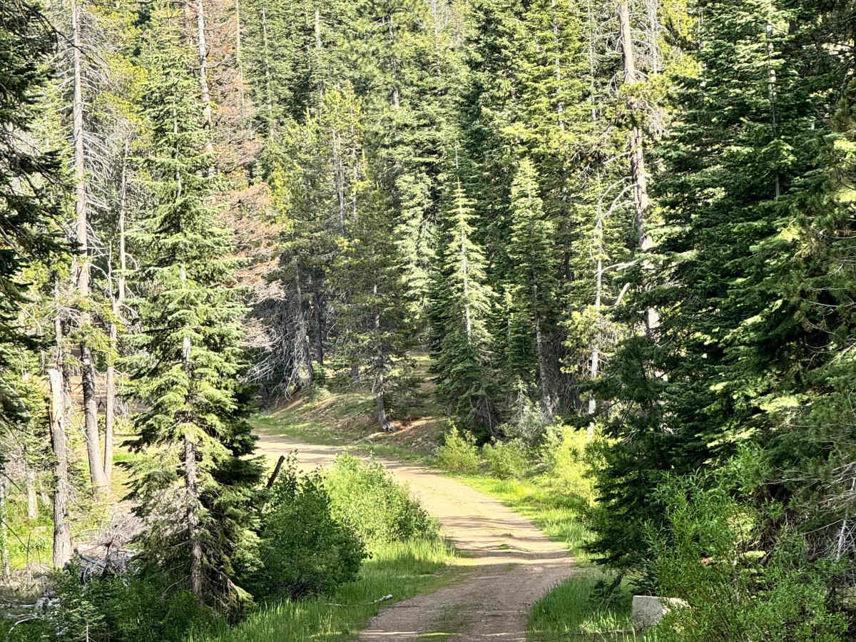 Robbers Roost - FS 27N14 trail photo