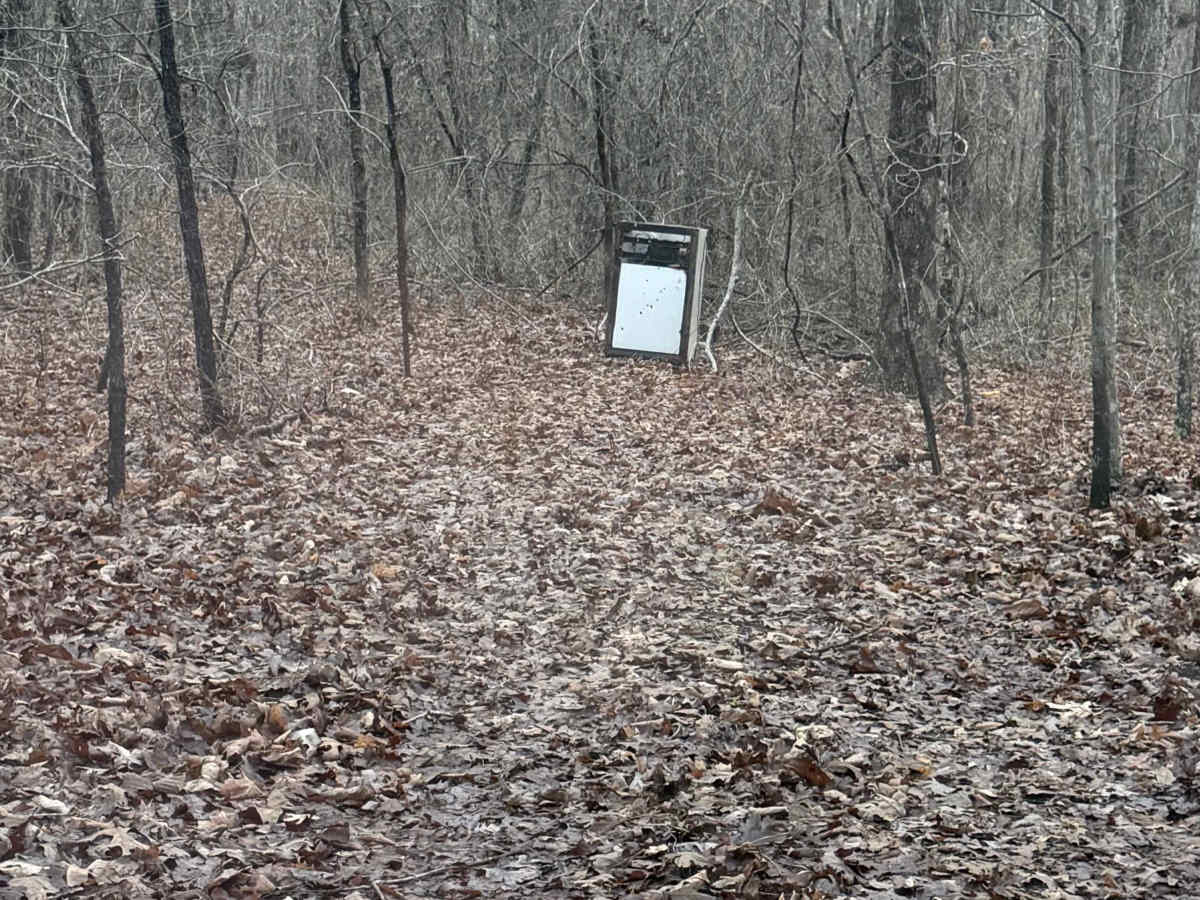 Log Lick Hollow photo 4