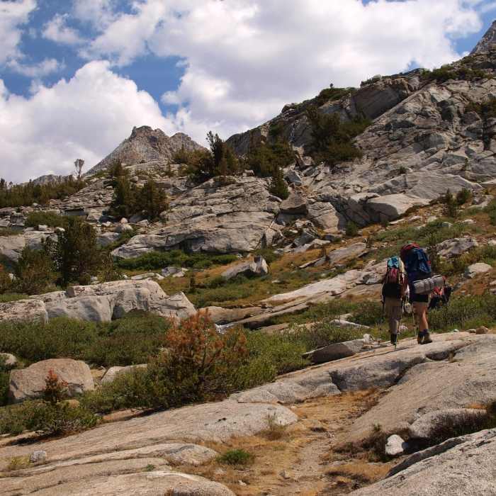 Near Lamarck Col