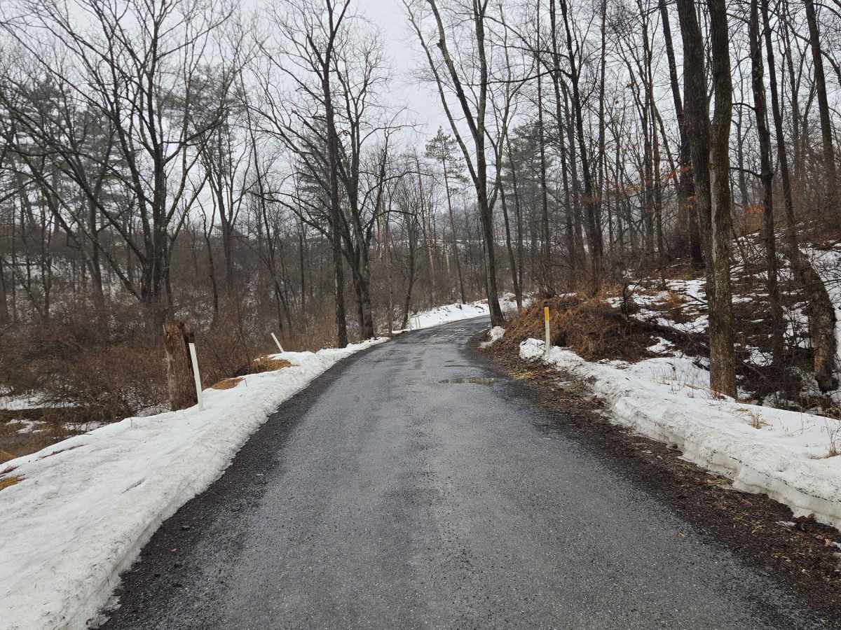 Warden Road trail photo