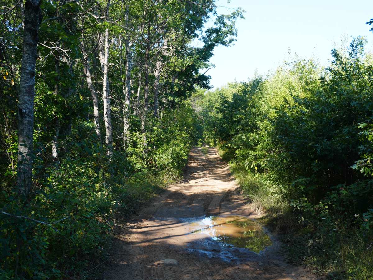 Twin Lakes Trail photo 4