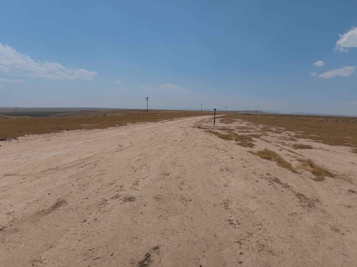 BLM 126 photo 2