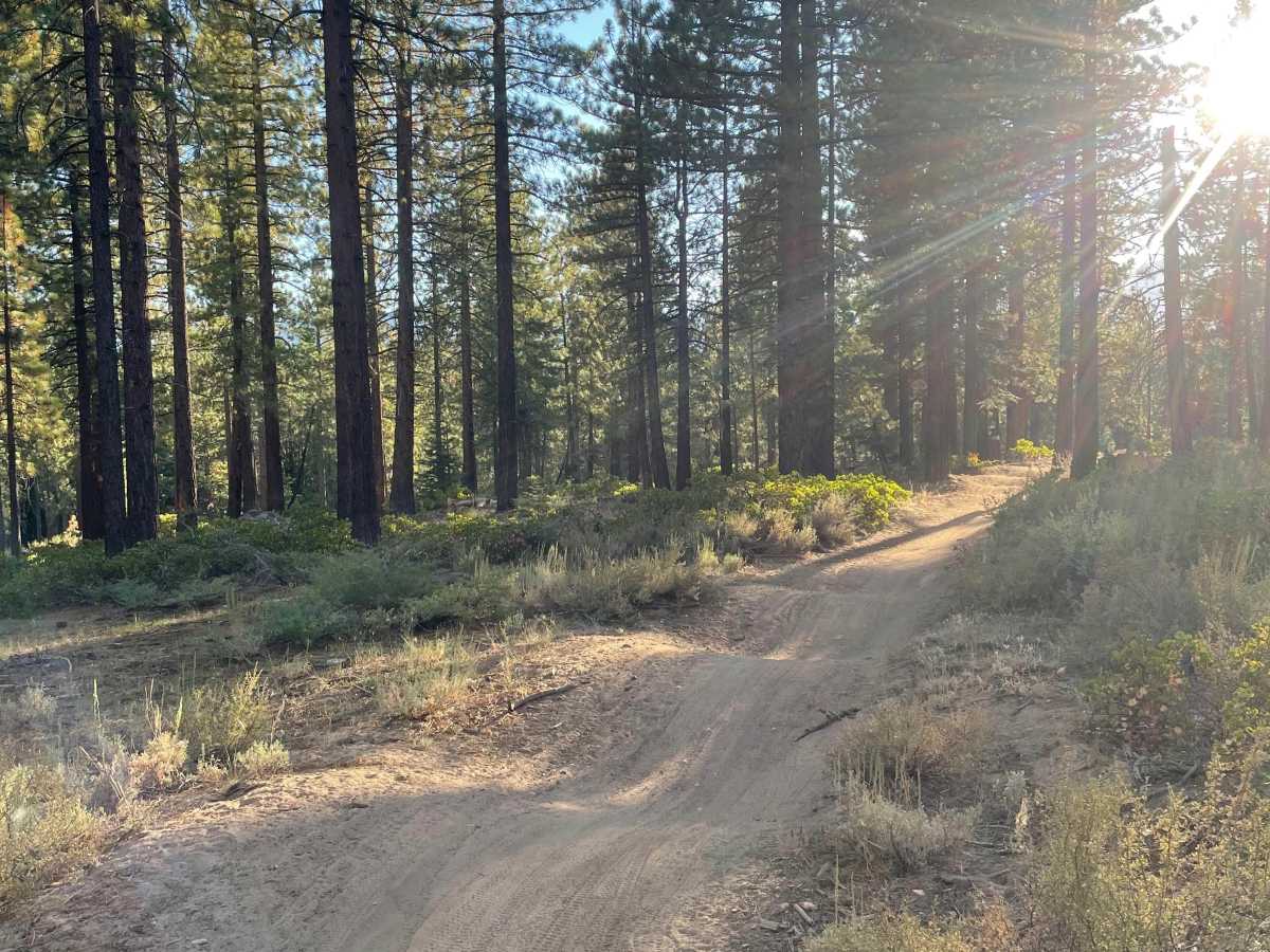High Meadows Trail photo 2