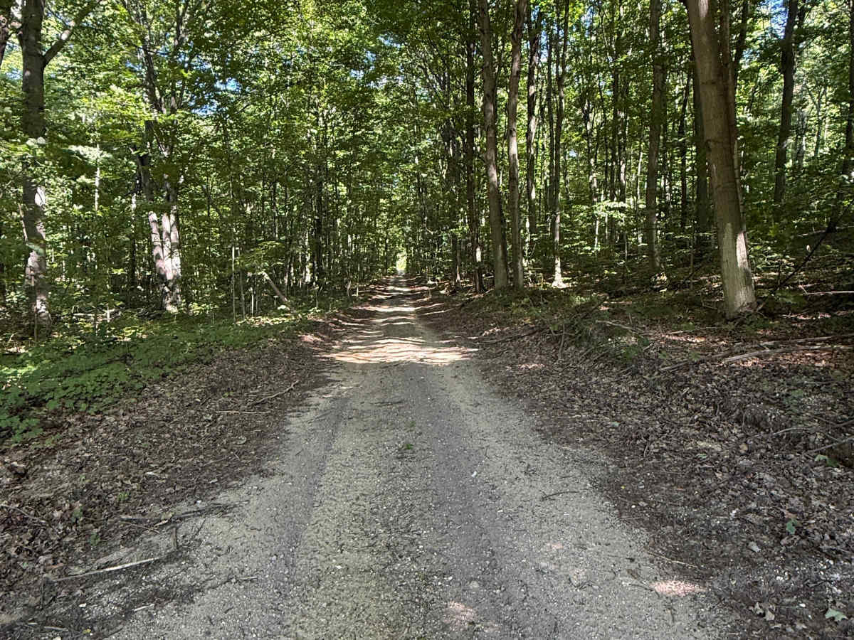 Alkire Trail photo 4