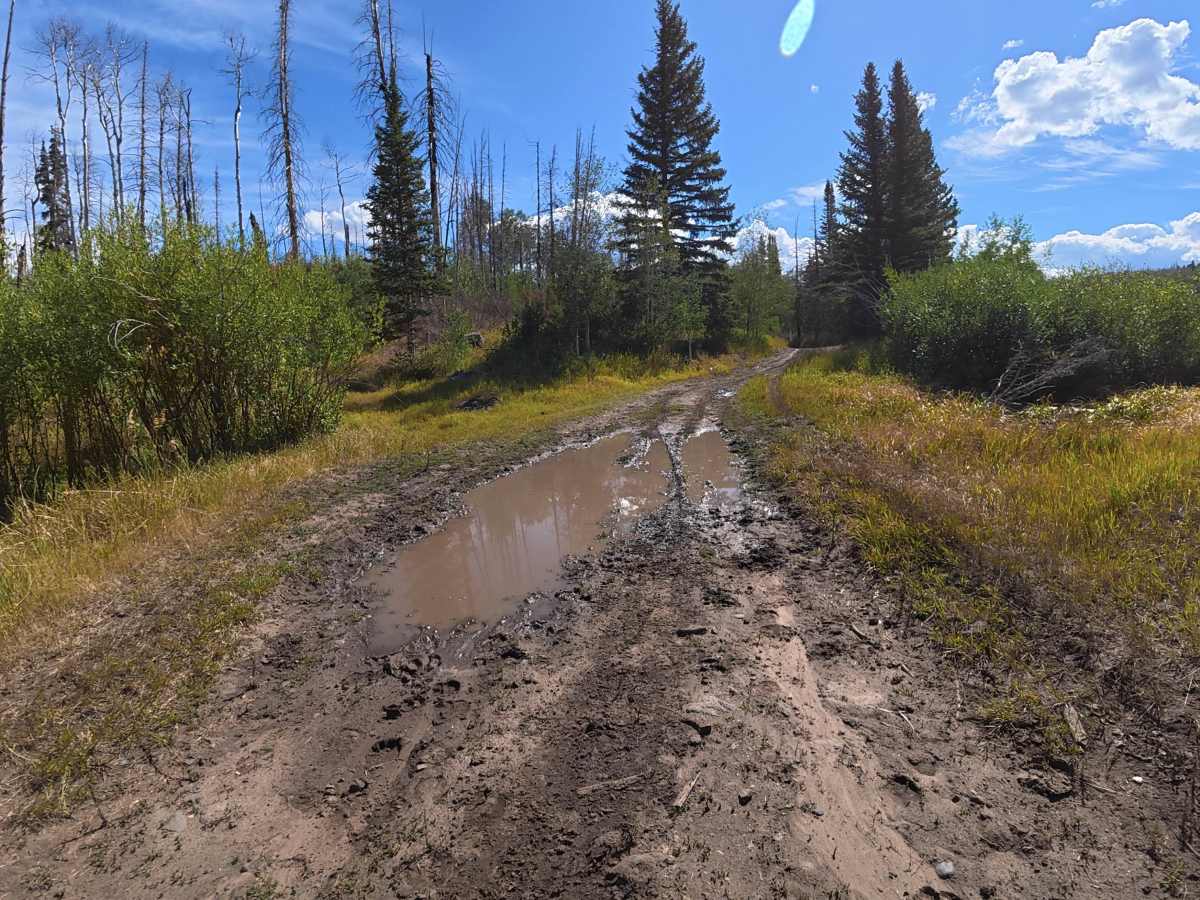 Sterry Lake Road - FS 240 photo 2