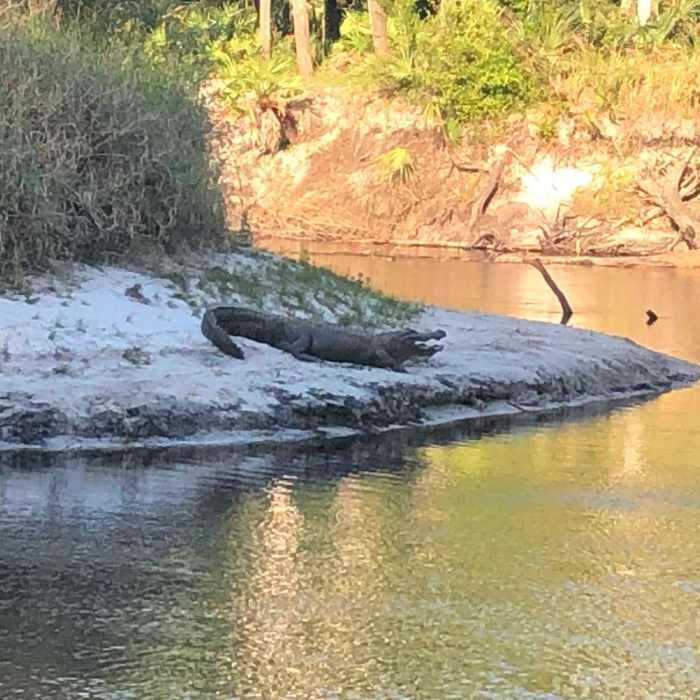 Near Econ State Forest Tour