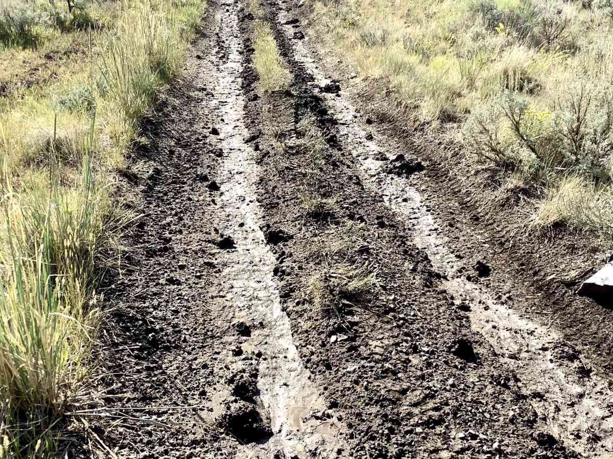 Blacktail/Mud Lake photo 4