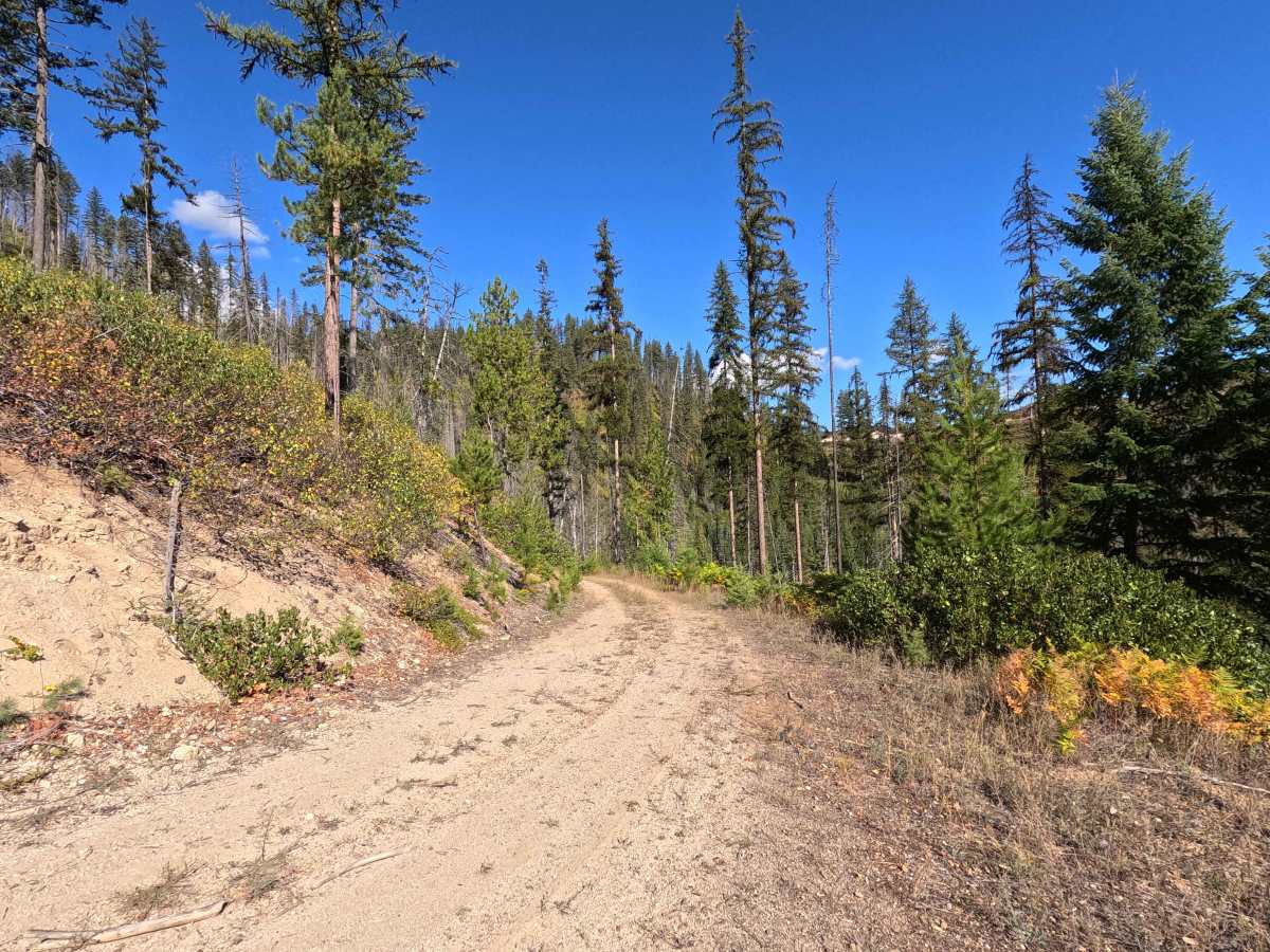 Klahowya Creek N - FS 1075N photo 6