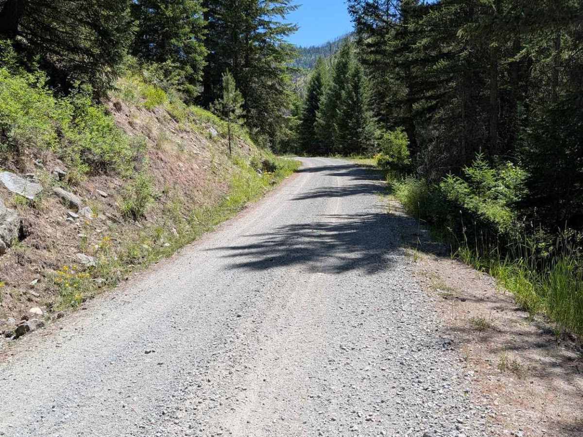 Sinlahekin Mainline Rd photo 6