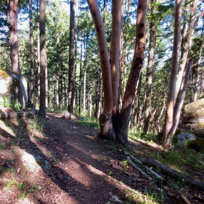 Near White Rabbit Trail