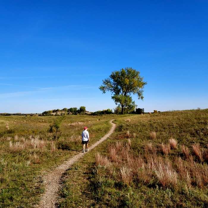 Near Oak Leaf Loop Trail