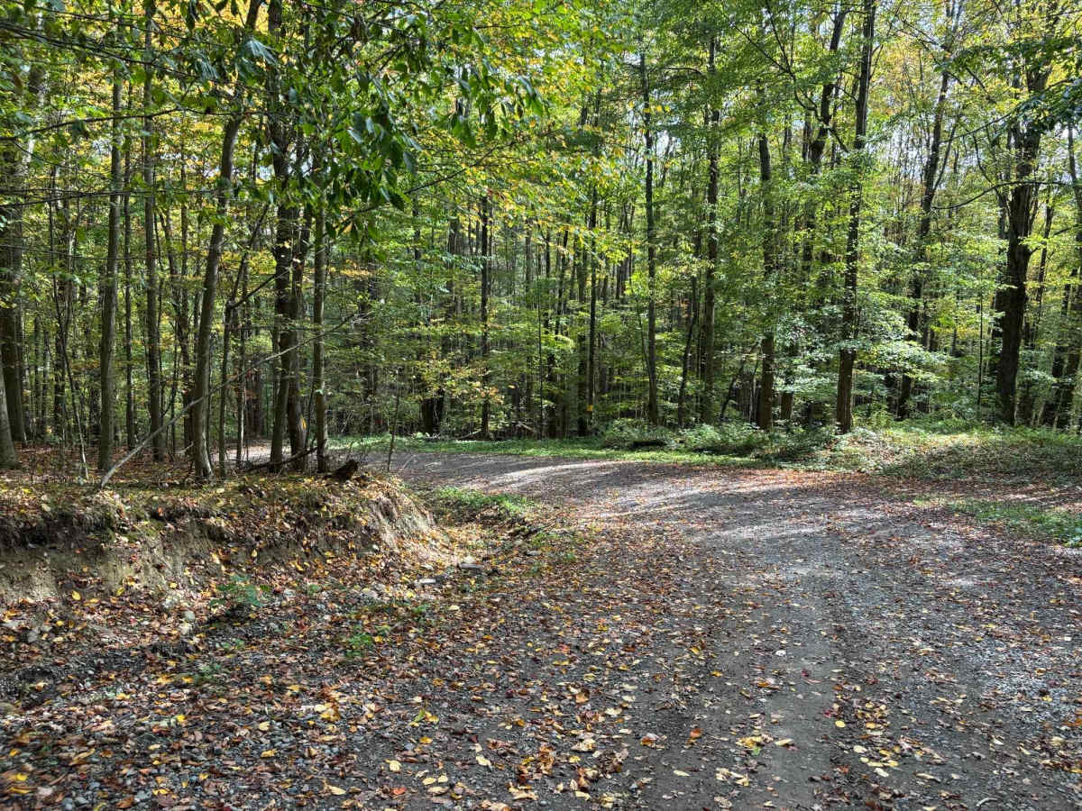 Evelund Road photo 2