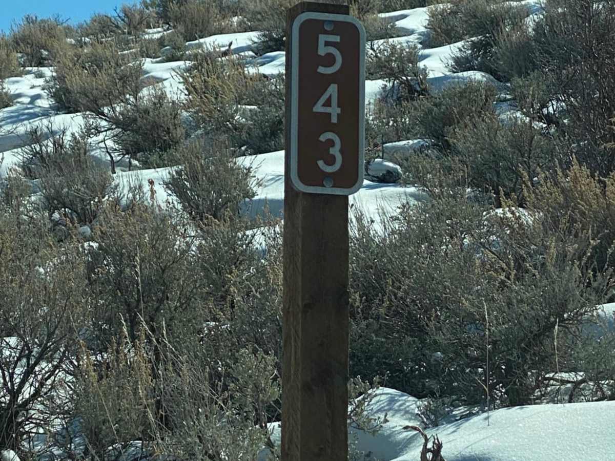 Magpie Road to West Canyon Trailhead photo 4