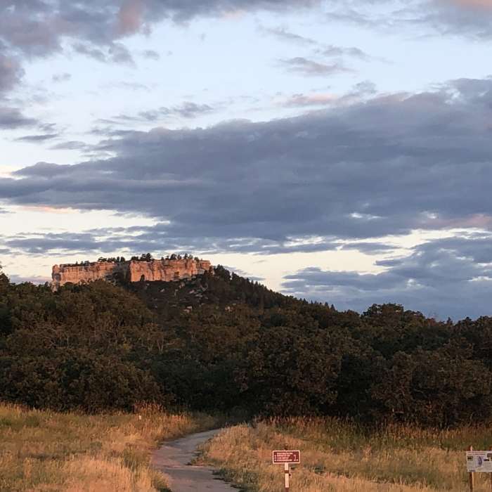 Near Spruce Mountain Trail