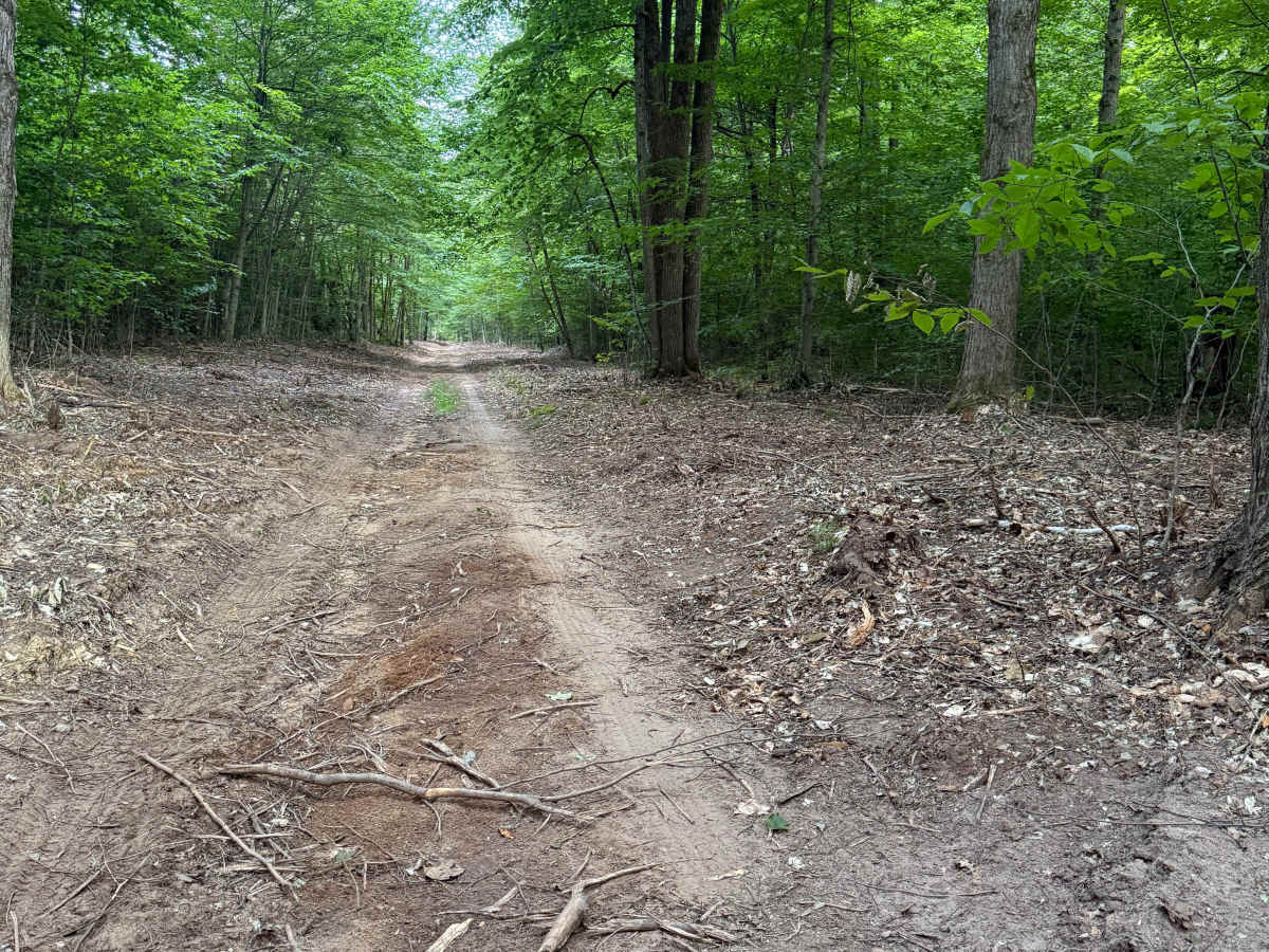 N 5 Trail photo 6