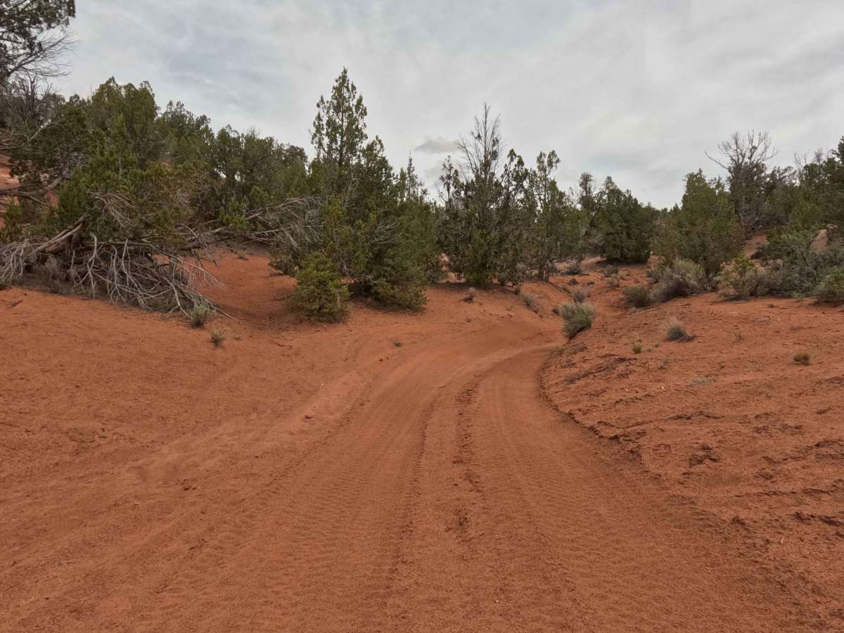 BLM 64T photo 4
