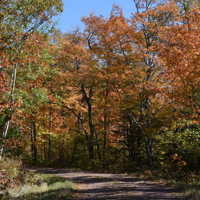 Near Nicada Lake Hike Near Nicada Lake Hike