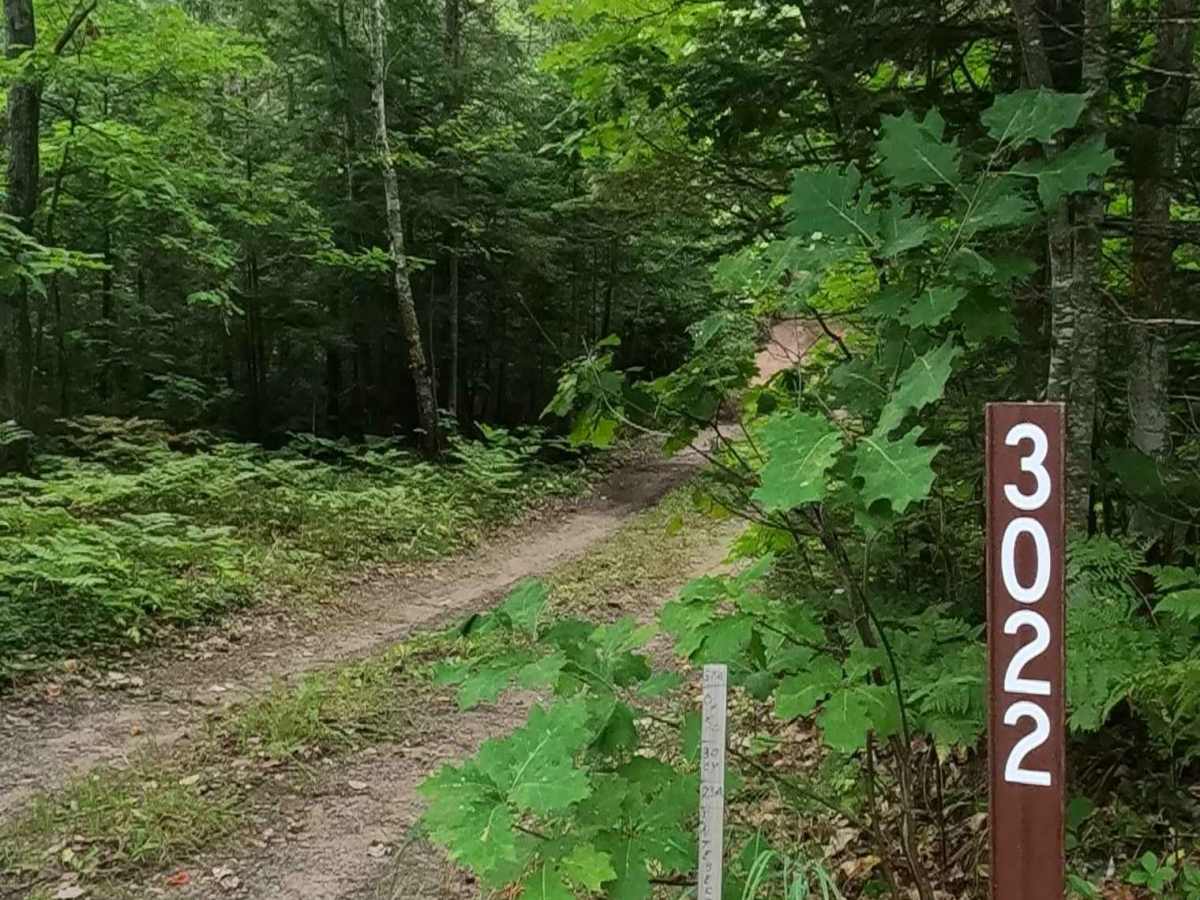 Carl - FS 3022 trail photo