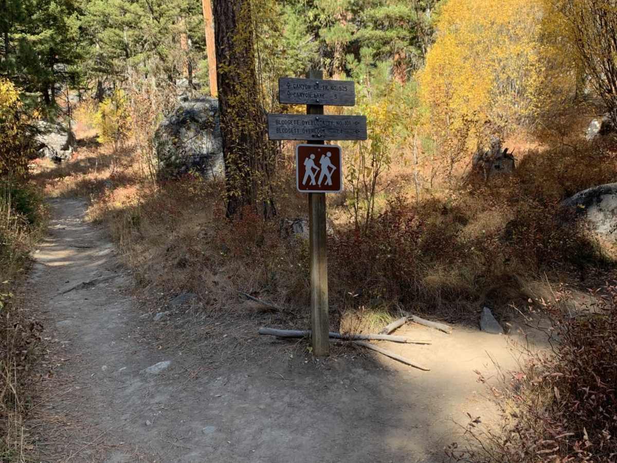 Blodgett Canyon Overlook photo 2