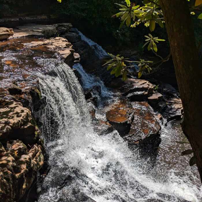 Near Upper Cascades Falls Trail