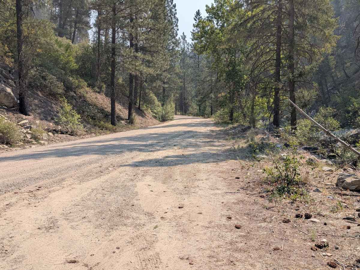 East Fork Road - FS 412 photo 6