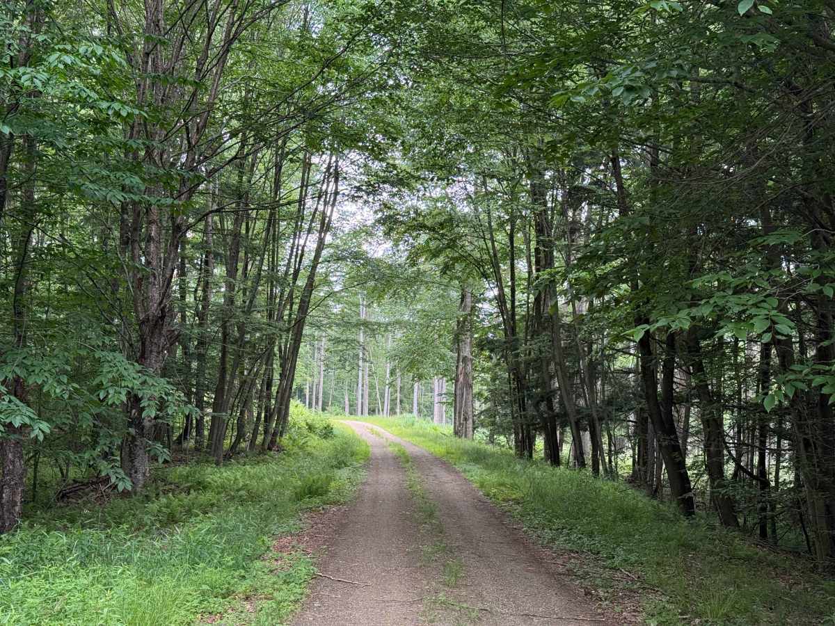 Crane Run Trail - FS 264 photo 6