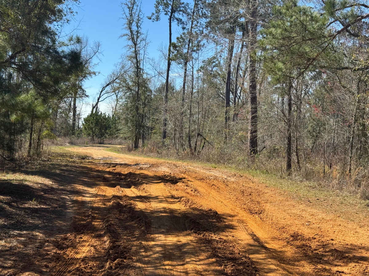 Rock Pond Road photo 4