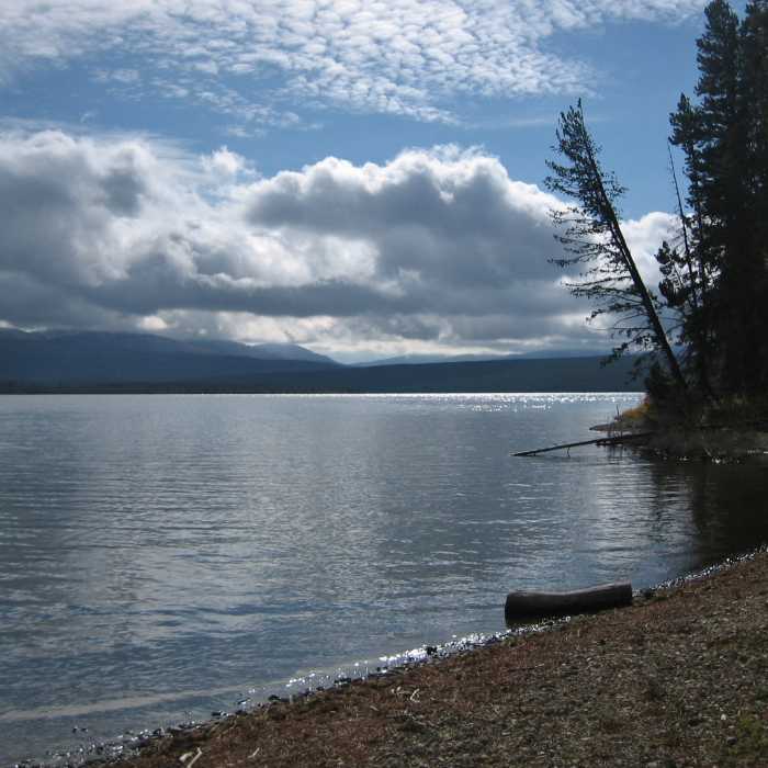 Near Heart Lake Trail