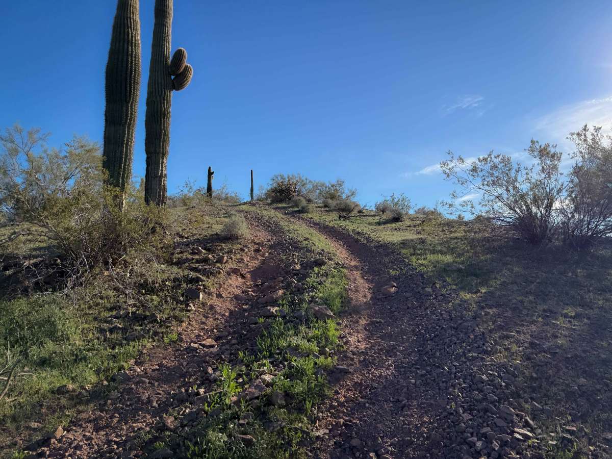 Paloverde Ridge  photo 6