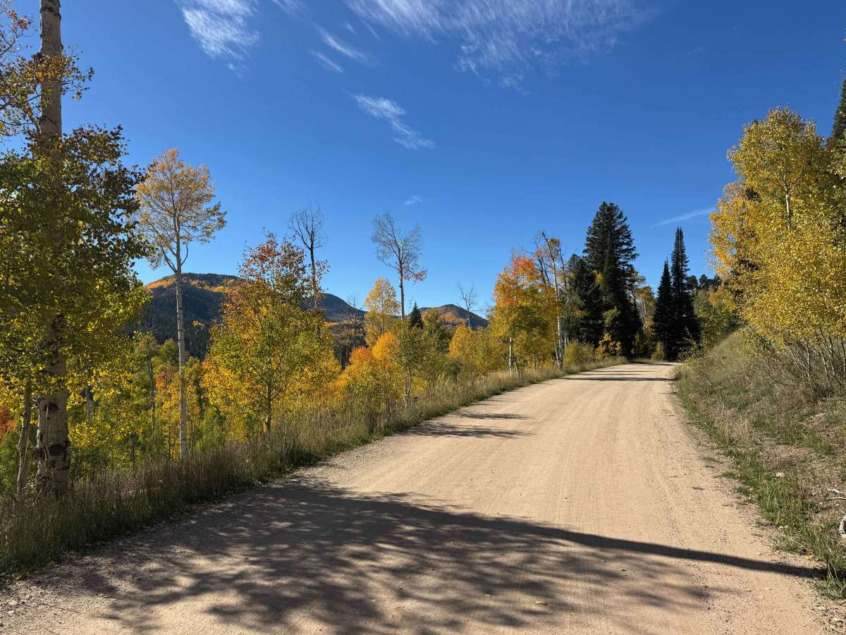 Hahns Peak Lake Campground Road photo 3