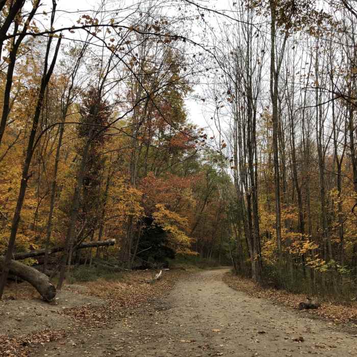 Pond Loop, Ramapo Reservation Near Ridge Loop
