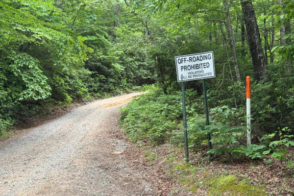 Charlies Creek Road