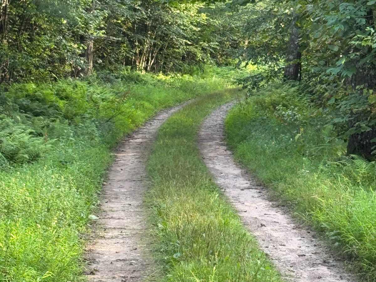 McKees Run Road photo 4