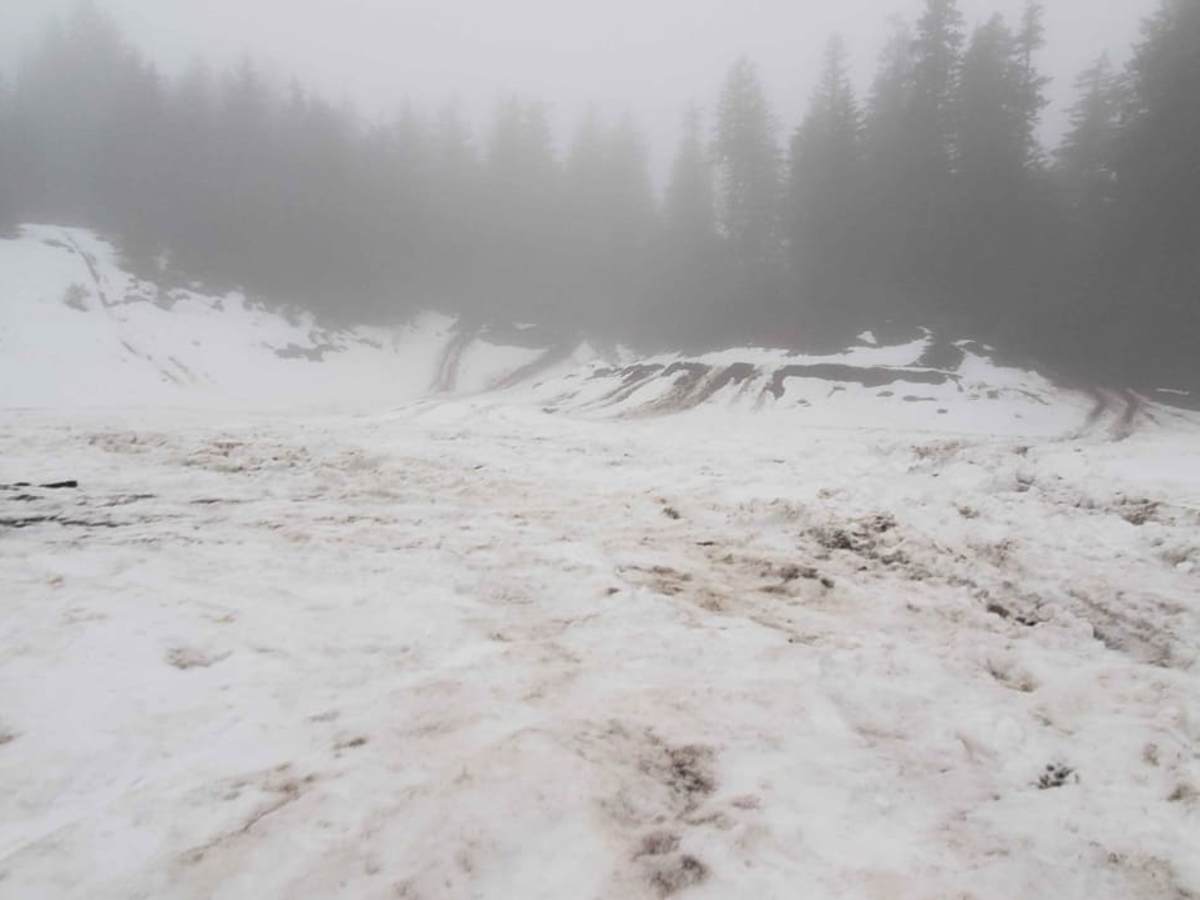 Quarry Head Trail photo 4