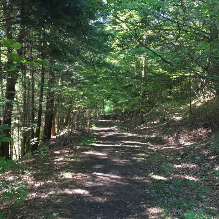 Continued rail trail. Can be muddy in sections and faint remnants of old railroad ties can be felt in places. Near Andes Rail Trail
