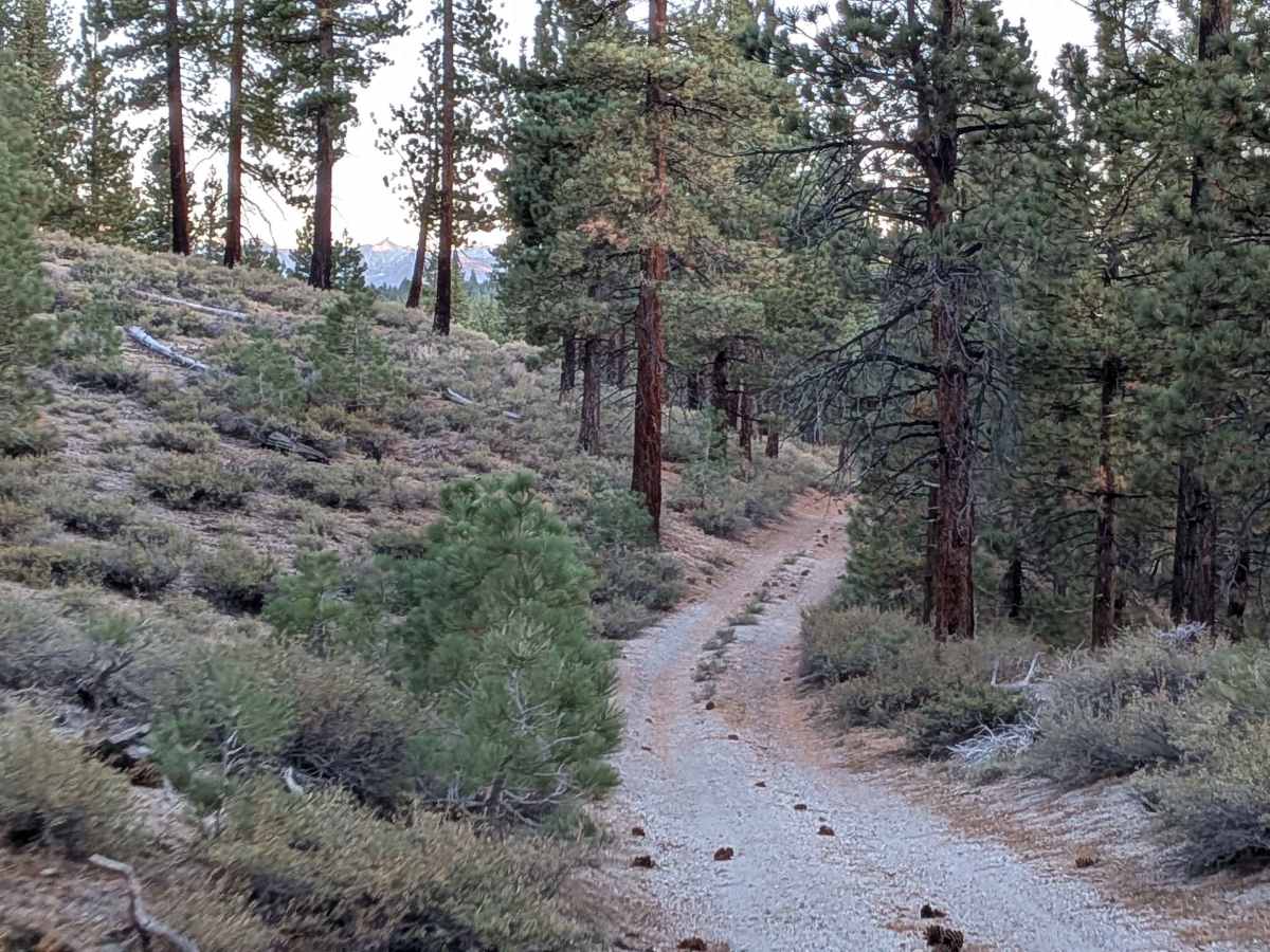 Sandy Flat Bypass - FS 1S86 trail photo