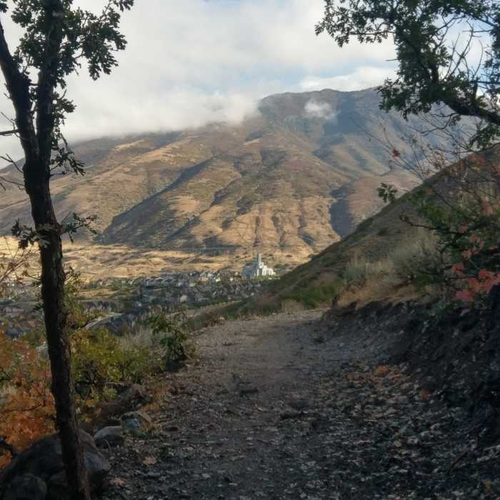 Near South Mountain Overlook Trail