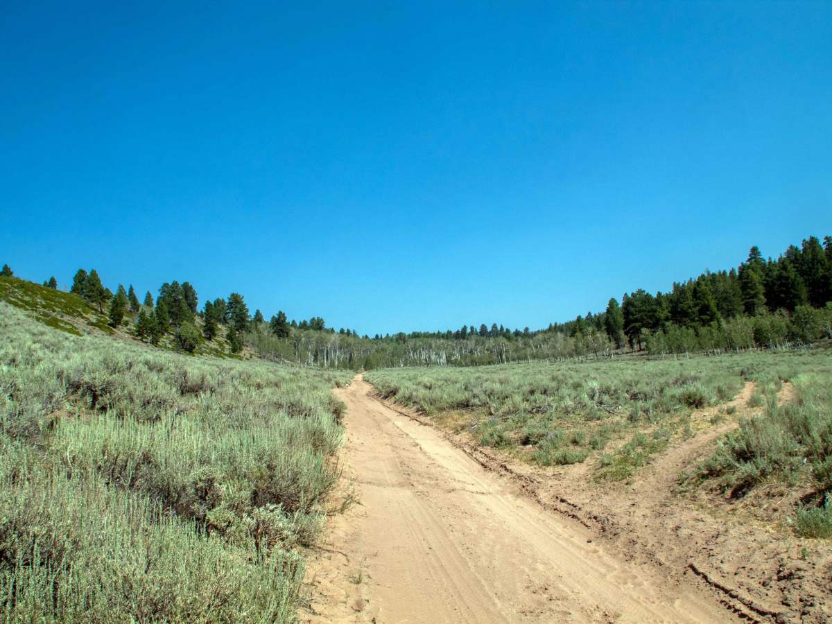 Limekiln - FS 10123 photo 5