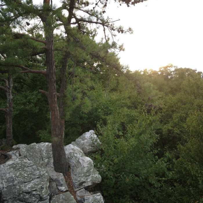 Near White Rocks Trail (Center Point Knob Hike)