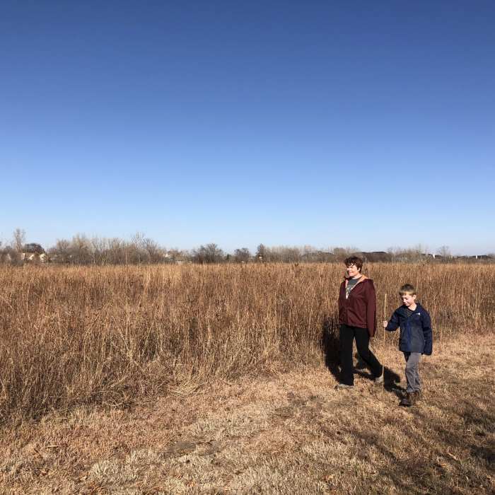 Some of the hike is in the middle of a prairie grass field, a mix of big and little bluestem grasses. Near North Chisholm Creek Park