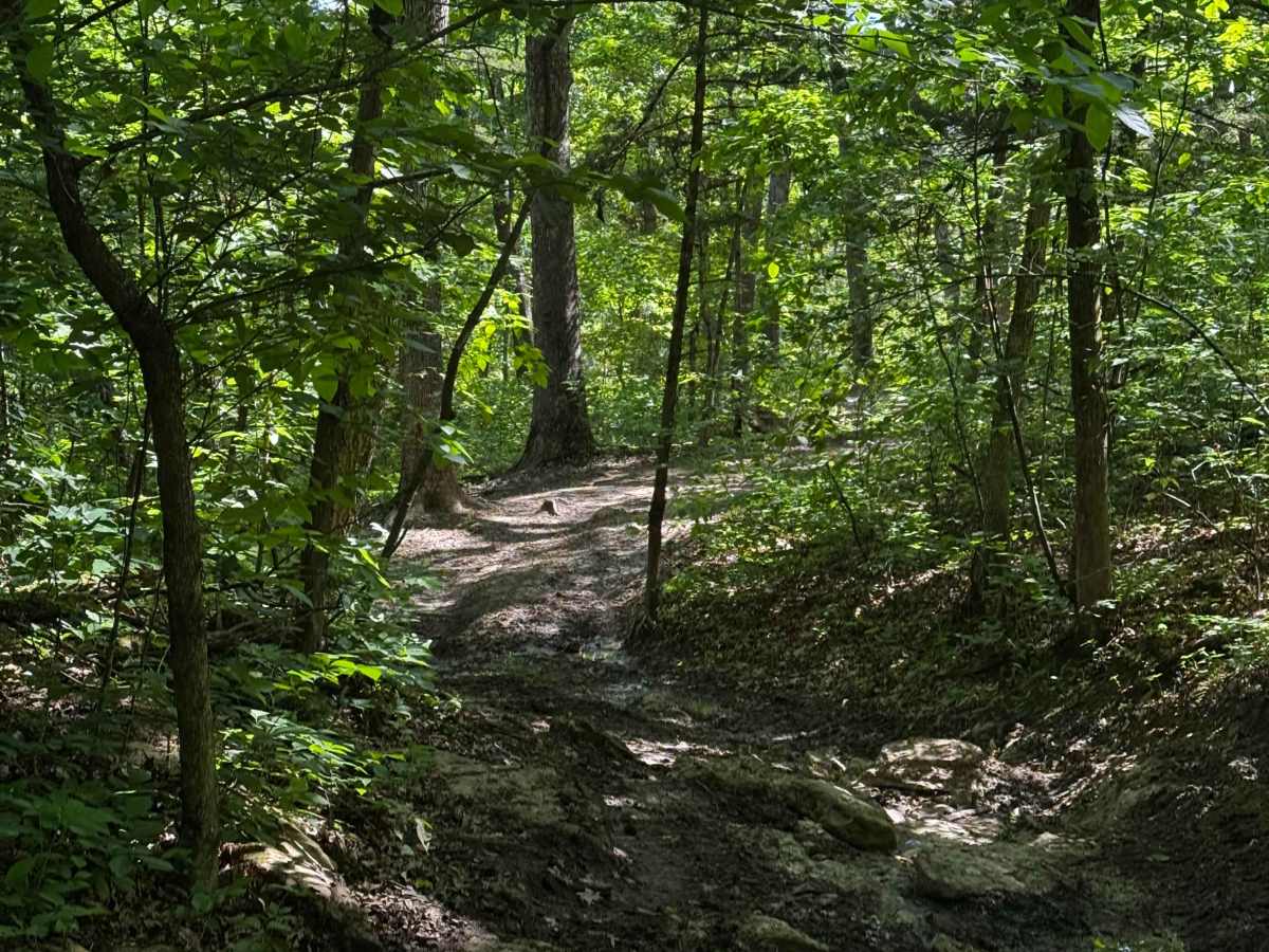 Inner Trail 25 trail photo