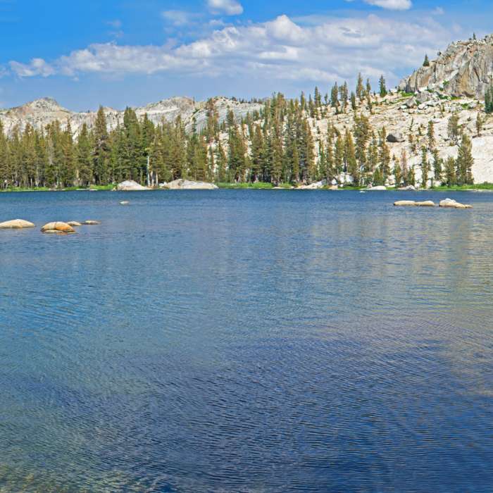 Near Wire Lakes Trail