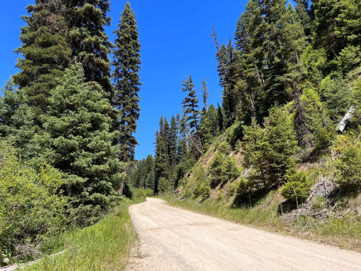 Moose Creek & Trail 40 photo 3