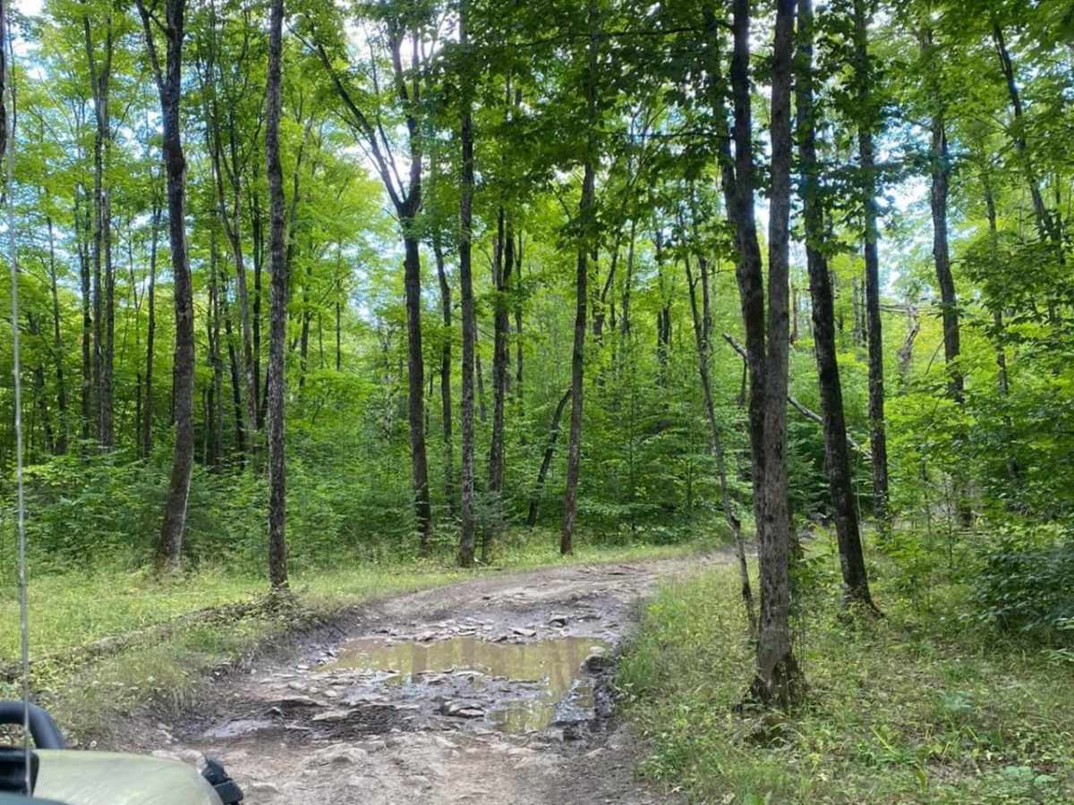 Nevenens Road Loop trail photo