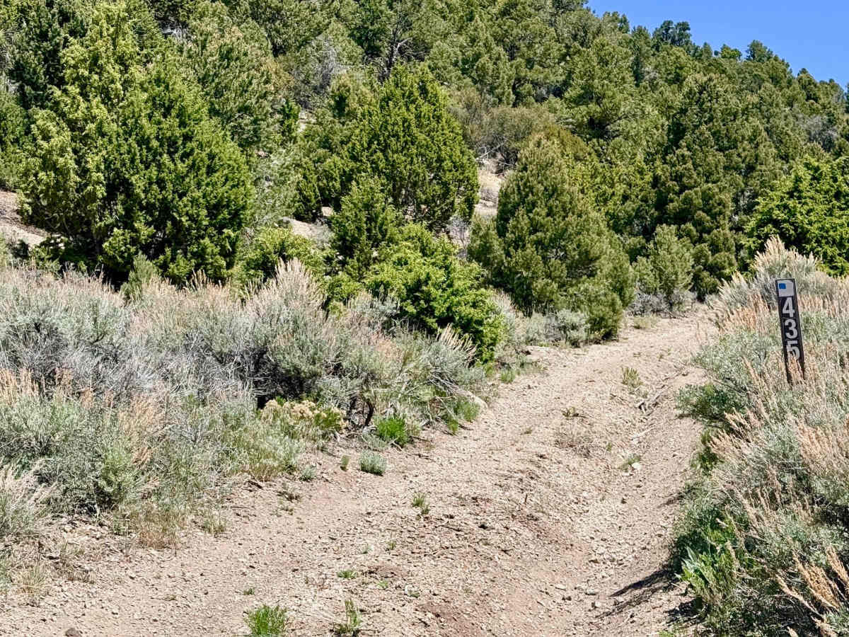Upper South Brock Connector - FS 43514 photo 4